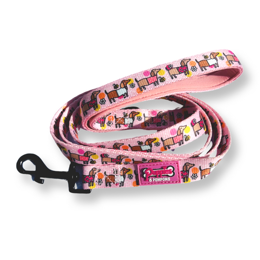 Dog Leash - Bee Happy Dachshunds